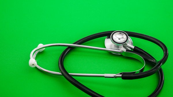 Comment choisir le meilleur chanvre pour vos besoins ?