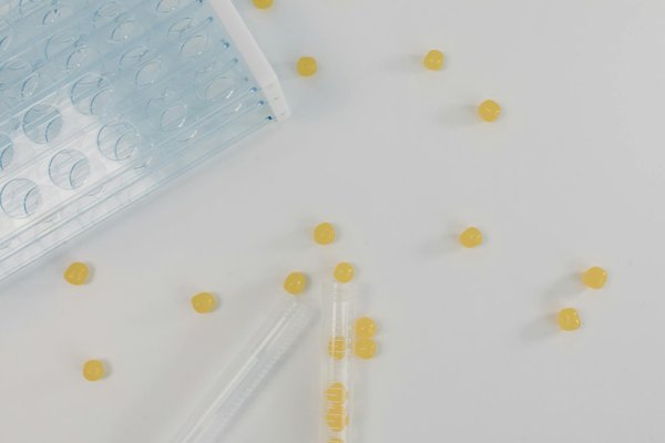 Trouver la meilleure boutique chanvre en ligne en 2024