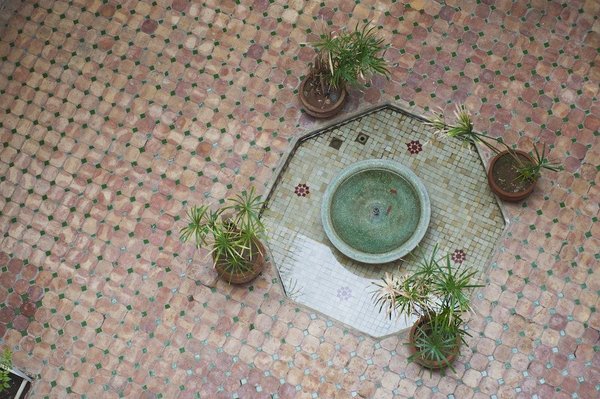 Quels sont les effets de la photographie paysagère sur la santé émotionnelle ?