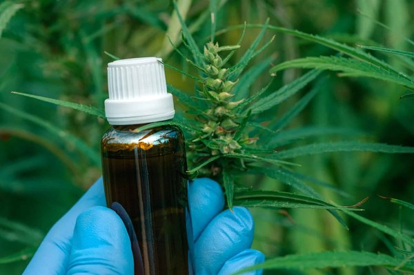 Cbd ou anti-inflammatoire : quel est le meilleur choix ?